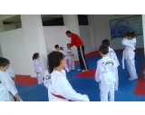 SALONDAN KARELER