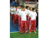 15-16.02.2014 KESTEL GENÇLER VE BÜYÜKLER KICK BOKS ŞAMPİYONASINDAN GÖRÜNTÜLER