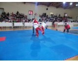 4.GELENEKSEL MUDANYA MÜSABAKA FOTOĞRAFLARI