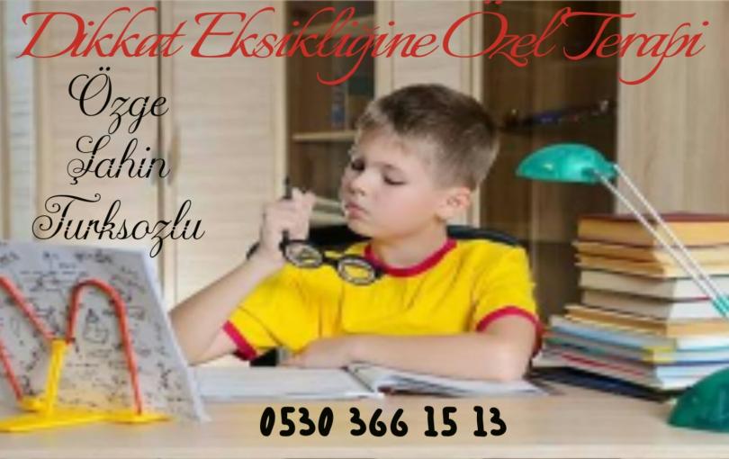 Dikkat Eksikliıi ve Hiperaktivite Bozukluğu Bursa Nilüfer