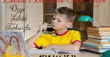 Dikkat Eksikliıi ve Hiperaktivite Bozukluğu Bursa Nilüfer