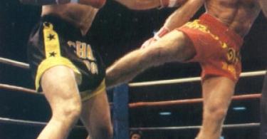 Middle Round House Kick