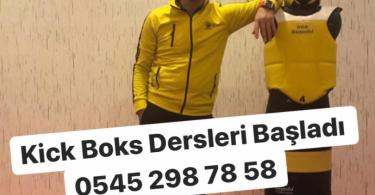 Bursa Kick Boks Profesyonel Eğitimin Önemi 